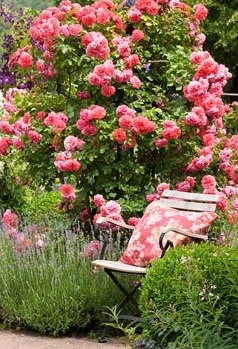 zahradní židle